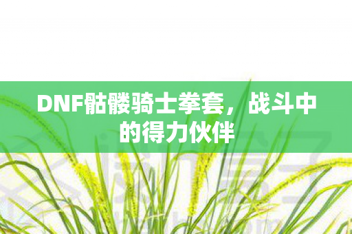 DNF骷髅骑士拳套图片