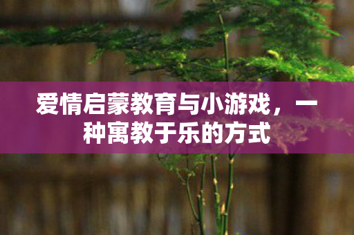 爱情启蒙教育与小游戏图片