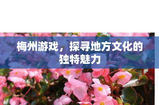 探寻地方文化的独特魅力图片