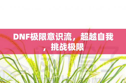 DNF极限意识流图片