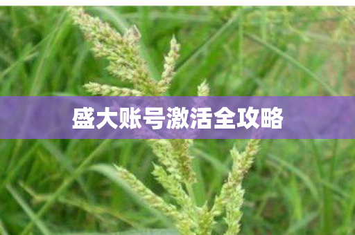 盛大账号激活全攻略图片