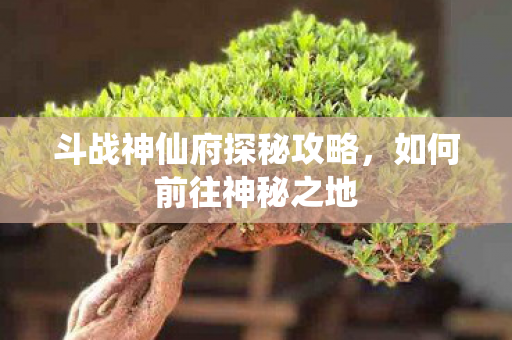 斗战神仙府探秘攻略图片