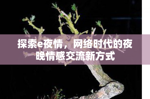 网络时代的夜晚情感交流新方式图片