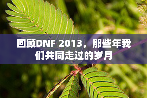 那些年我们共同走过的岁月图片