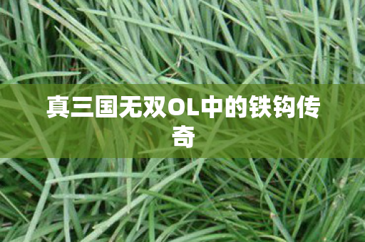 真三国无双OL中的铁钩传奇图片