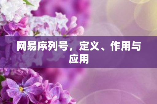网易序列号图片