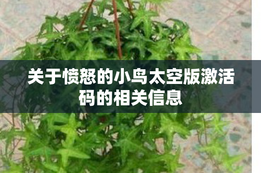 关于愤怒的小鸟太空版激活码的相关信息图片