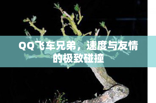 速度与友情的极致碰撞图片