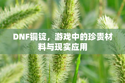 游戏中的珍贵材料与现实应用图片
