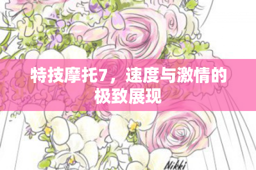 速度与激情的极致展现图片
