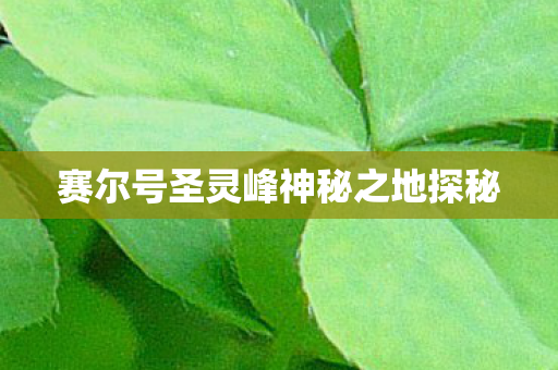 赛尔号圣灵峰神秘之地探秘图片