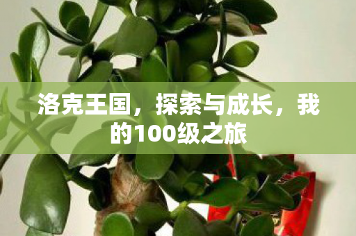 我的100级之旅图片