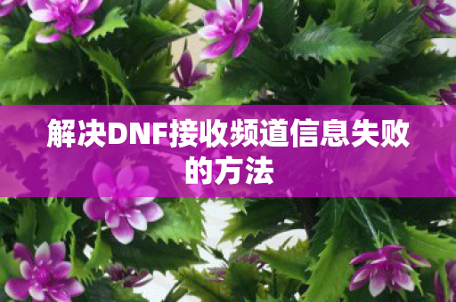 解决DNF接收频道信息失败的方法图片