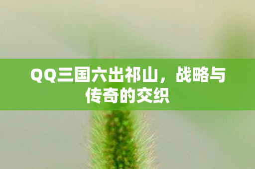 QQ三国六出祁山图片