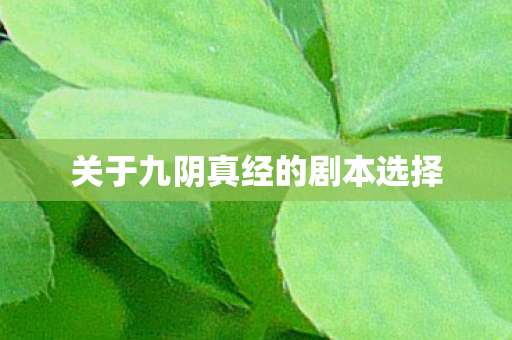 关于九阴真经的剧本选择图片