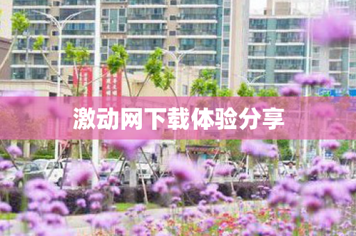 激动网下载体验分享图片
