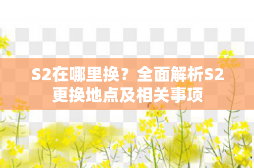 全面解析S2更换地点及相关事项图片