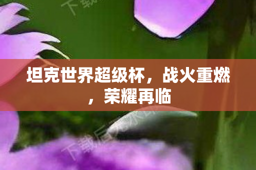坦克世界超级杯图片
