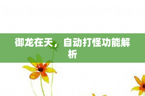 自动打怪功能解析图片