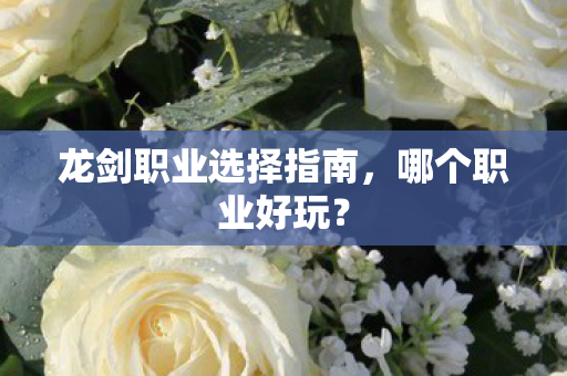 龙剑职业选择指南图片