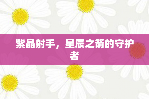 星辰之箭的守护者图片