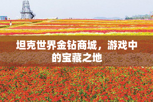 坦克世界金钻商城图片