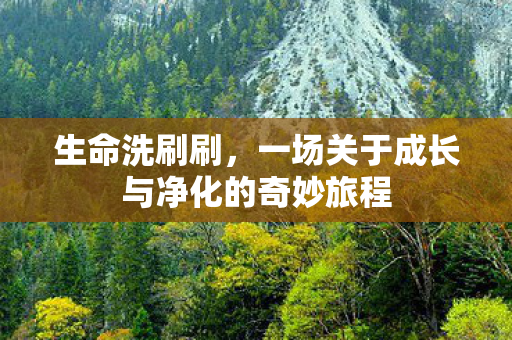 一场关于成长与净化的奇妙旅程图片