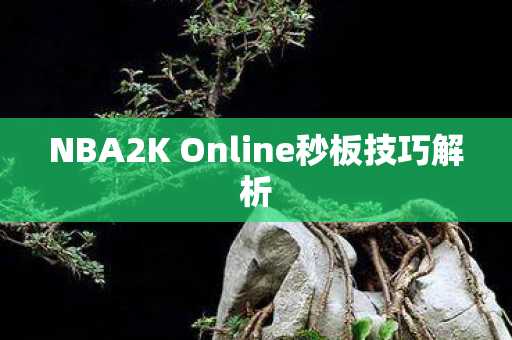 NBA2K Online秒板技巧解析图片