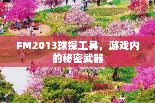 FM2013球探工具图片