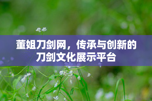 传承与创新的刀剑文化展示平台图片