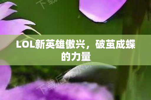 LOL新英雄傲兴图片