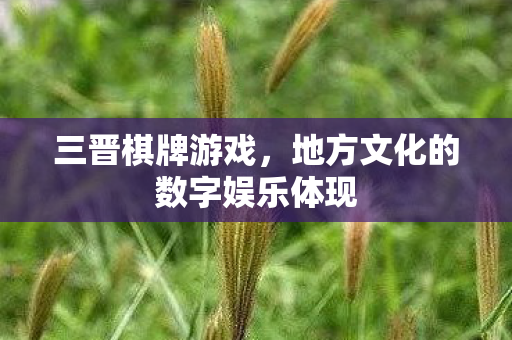 地方文化的数字娱乐体现图片