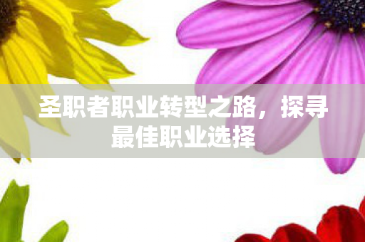 圣职者职业转型之路图片
