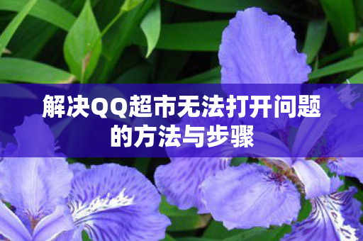 解决QQ超市无法打开问题的方法与步骤图片
