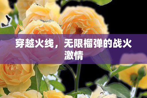 无限榴弹的战火激情图片