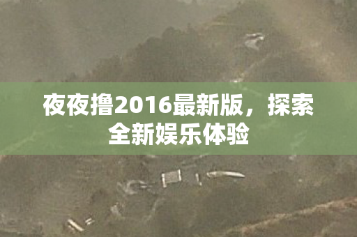 夜夜撸2016最新版图片