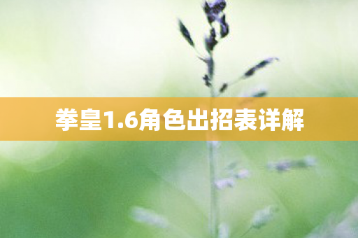 6角色出招表详解图片