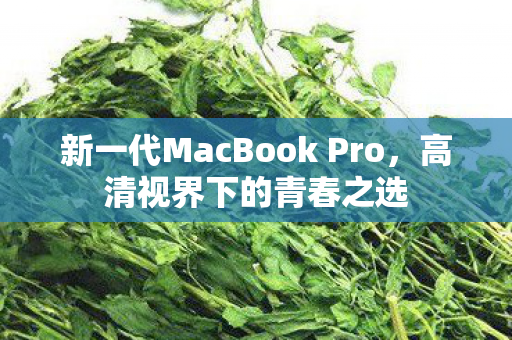 新一代MacBook Pro图片