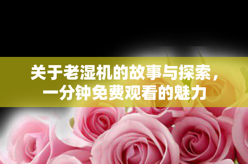 关于老湿机的故事与探索图片