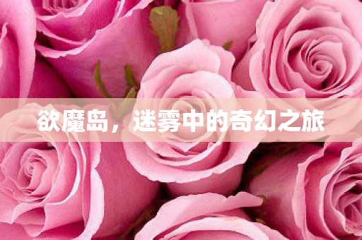 迷雾中的奇幻之旅图片