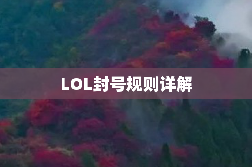 LOL封号规则详解图片