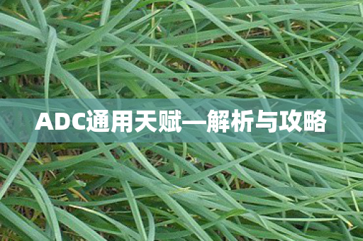 ADC通用天赋图片