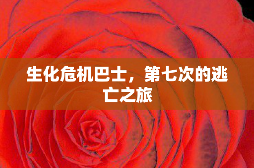 第七次的逃亡之旅图片