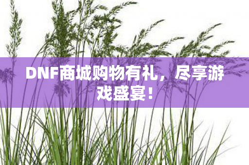 DNF商城购物有礼图片