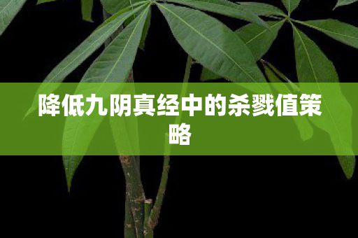 降低九阴真经中的杀戮值策略图片