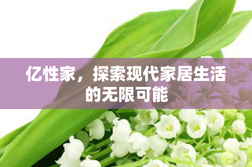 探索现代家居生活的无限可能图片