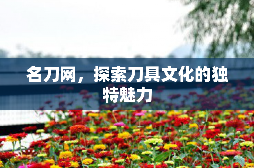 探索刀具文化的独特魅力图片