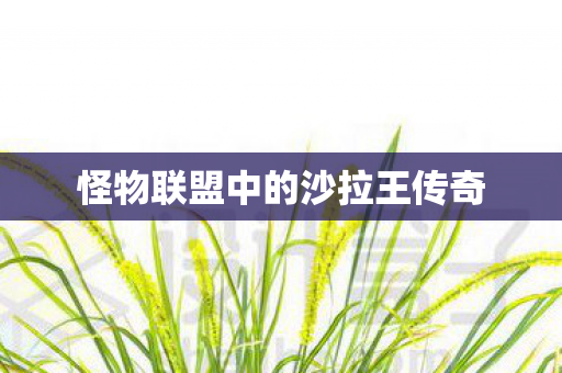 怪物联盟中的沙拉王传奇图片