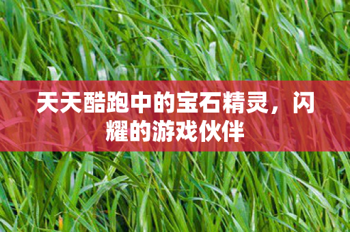 天天酷跑中的宝石精灵图片