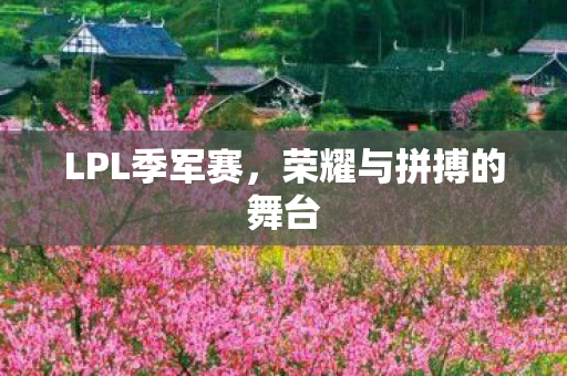 荣耀与拼搏的舞台图片